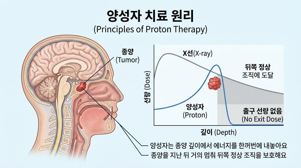 X선과 양성자의 선량 곡선 비교